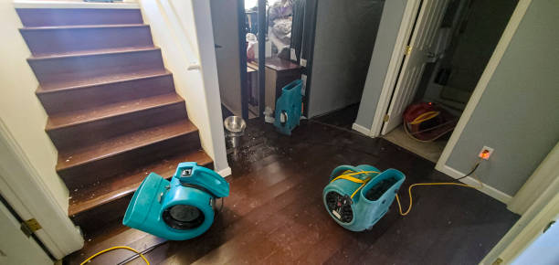 Professional Water damage restoration in Imperial, PA
