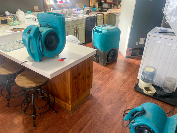 Best Sewage cleanup and water damage restoration  in Imperial, PA