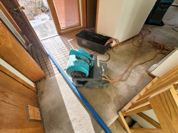 Carpet water damage restoration in Imperial, PA