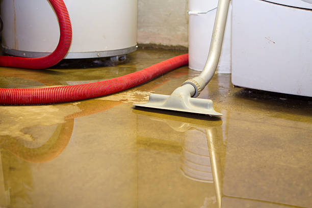 Best Mold removal after water damage  in Imperial, PA